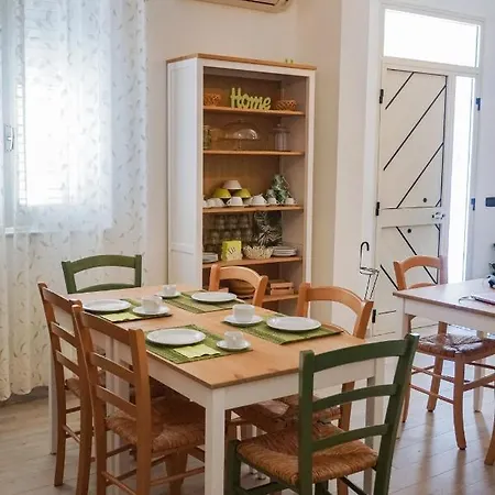 S'ilixi كوارتوتشو